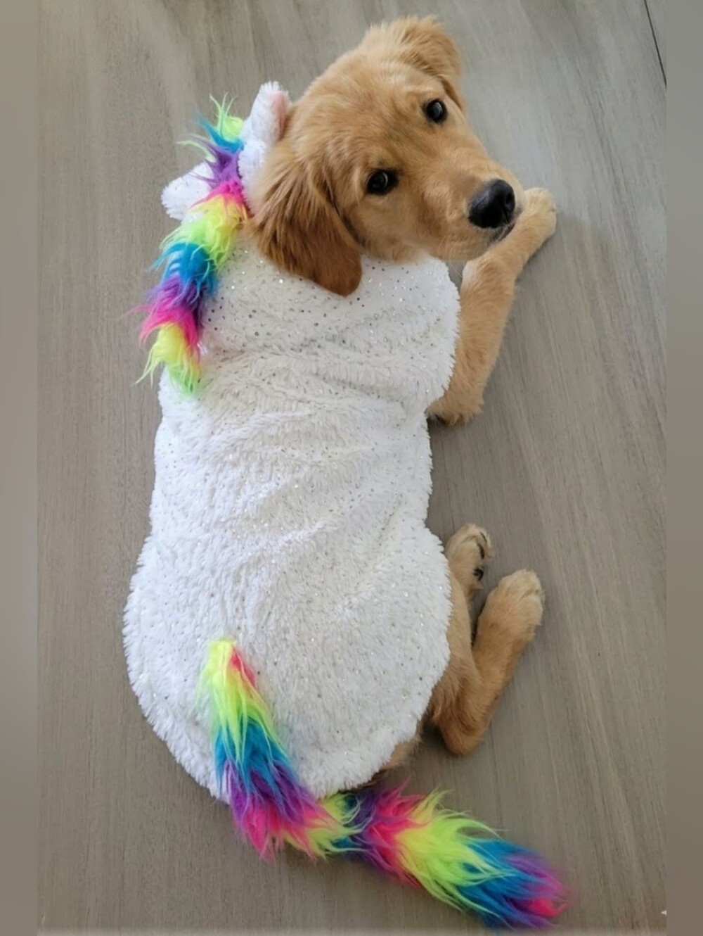 Dog Animal Costume Rainbow Tail White Unicorn - Plush Pet Hoodie NWT